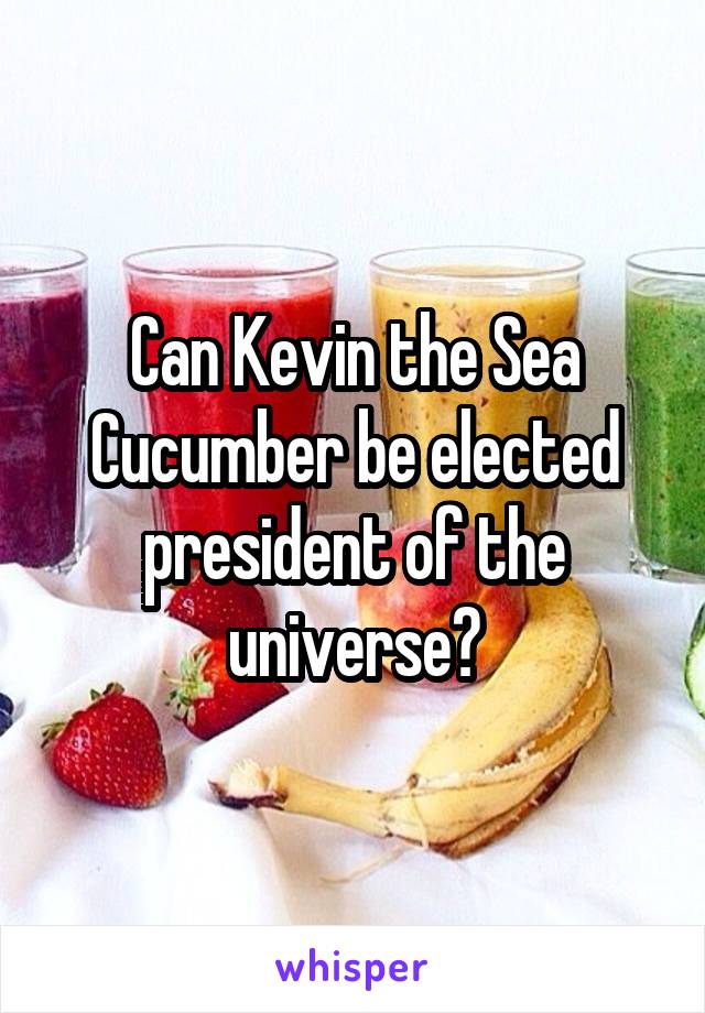 Can Kevin the Sea Cucumber be elected president of the universe?