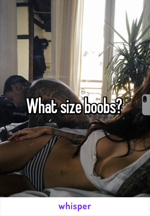 What size boobs? 