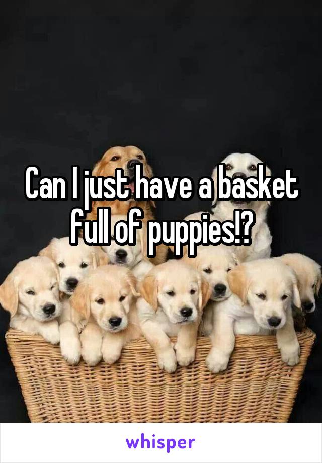 Can I just have a basket full of puppies!?
