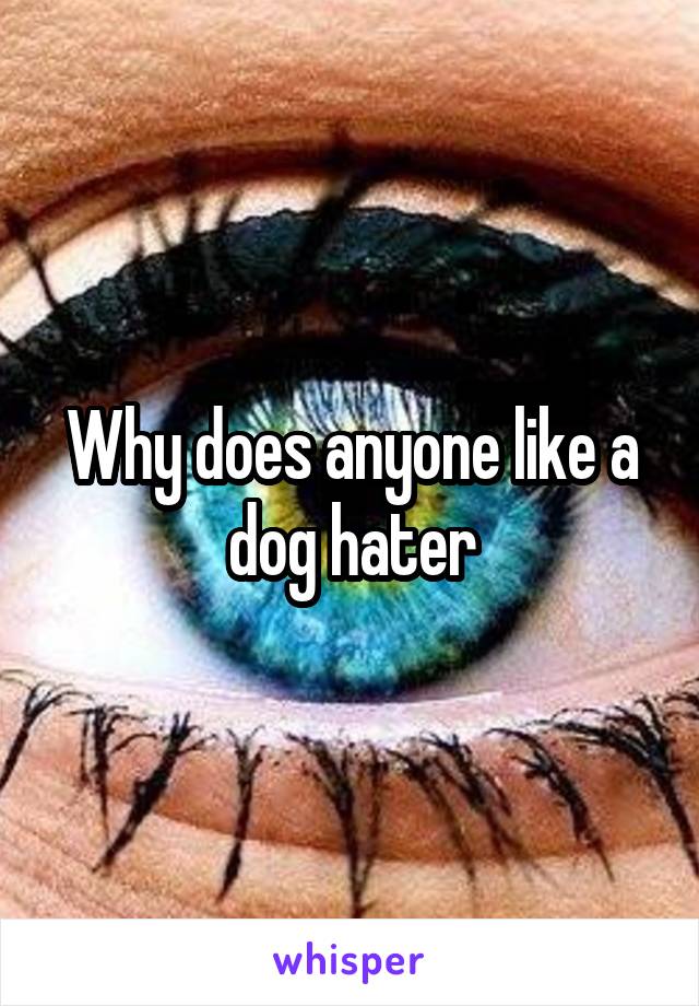 Why does anyone like a dog hater