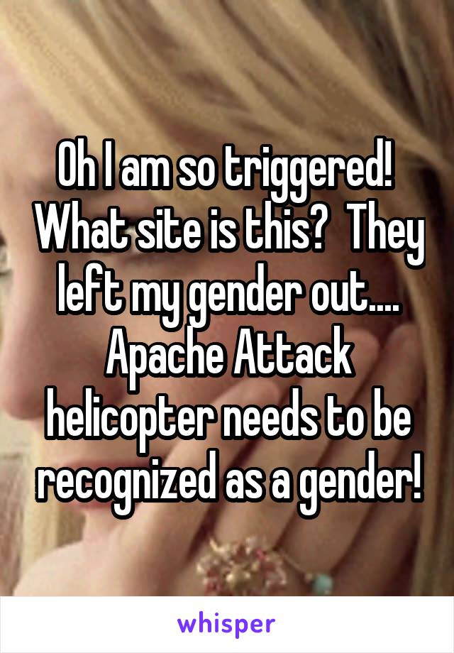 Oh I am so triggered!  What site is this?  They left my gender out.... Apache Attack helicopter needs to be recognized as a gender!