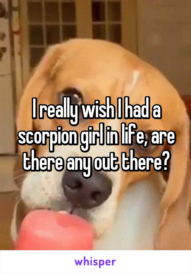 I really wish I had a scorpion girl in life, are there any out there?