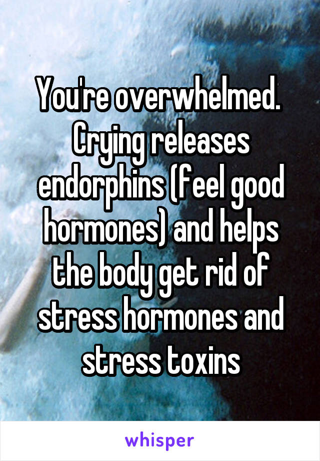 You're overwhelmed. 
Crying releases endorphins (feel good hormones) and helps the body get rid of stress hormones and stress toxins