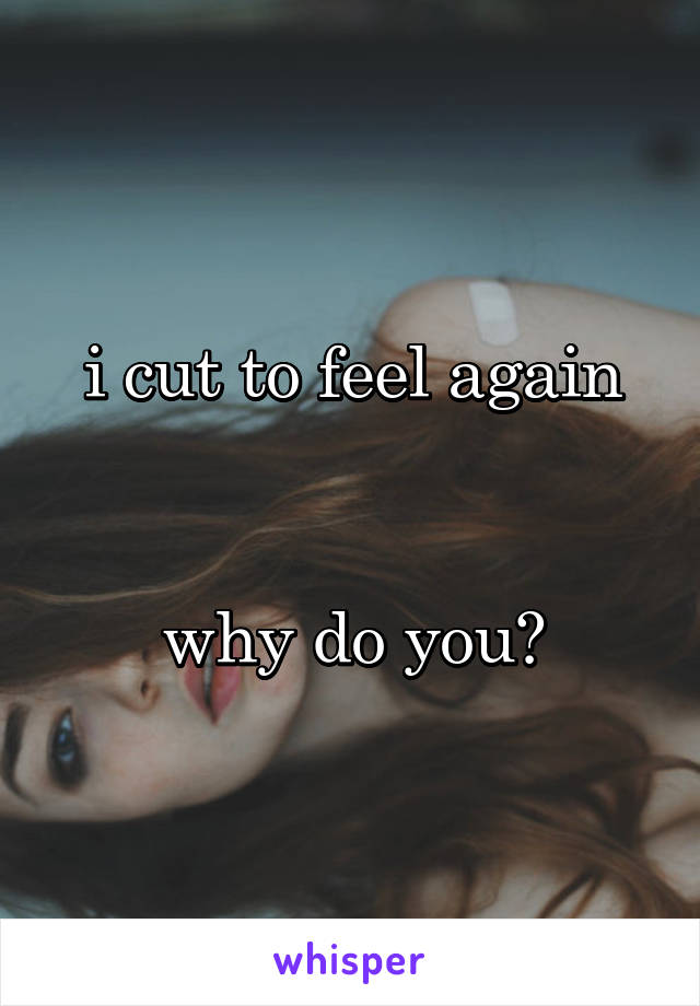 i cut to feel again


why do you?