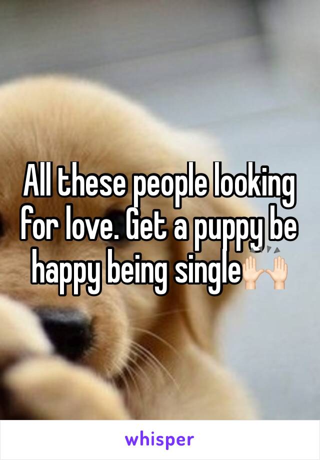 All these people looking for love. Get a puppy be happy being single🙌🏻