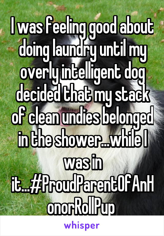 I was feeling good about doing laundry until my overly intelligent dog decided that my stack of clean undies belonged in the shower...while I was in it...#ProudParentOfAnHonorRollPup 