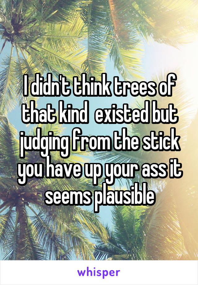 I didn't think trees of that kind  existed but judging from the stick you have up your ass it seems plausible