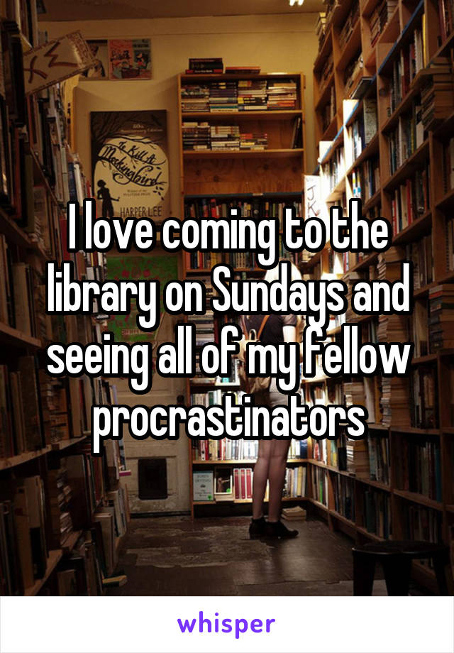 I love coming to the library on Sundays and seeing all of my fellow procrastinators