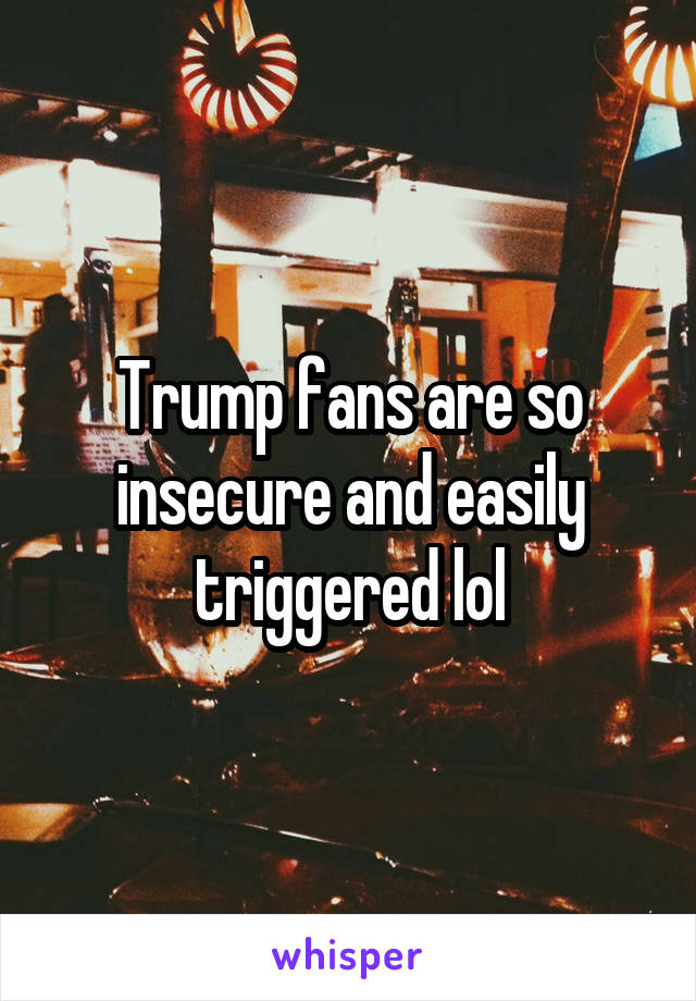 Trump fans are so insecure and easily triggered lol