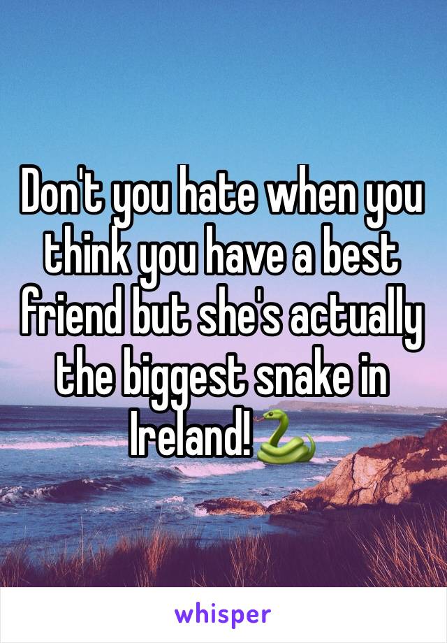 Don't you hate when you think you have a best friend but she's actually the biggest snake in Ireland!🐍