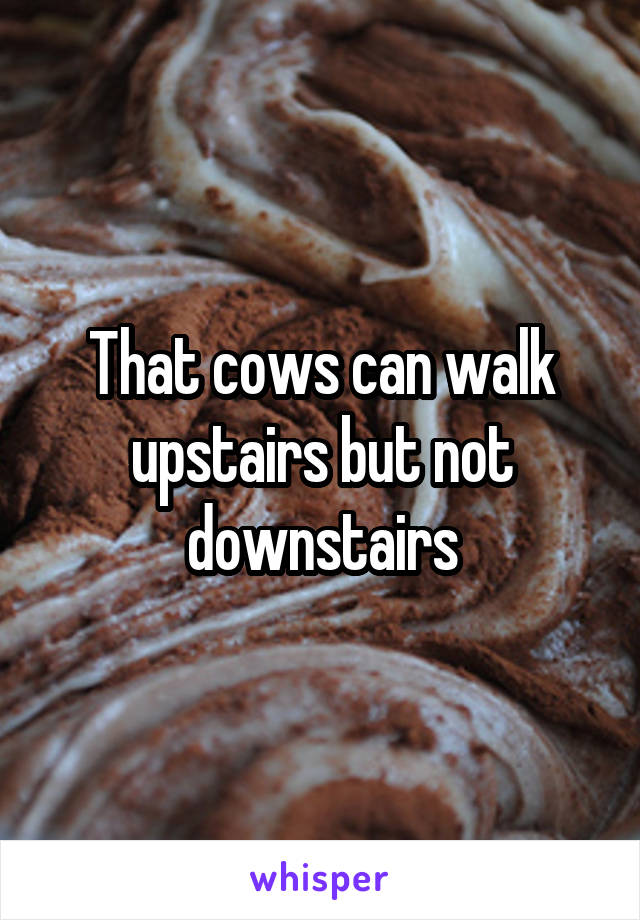 That cows can walk upstairs but not downstairs