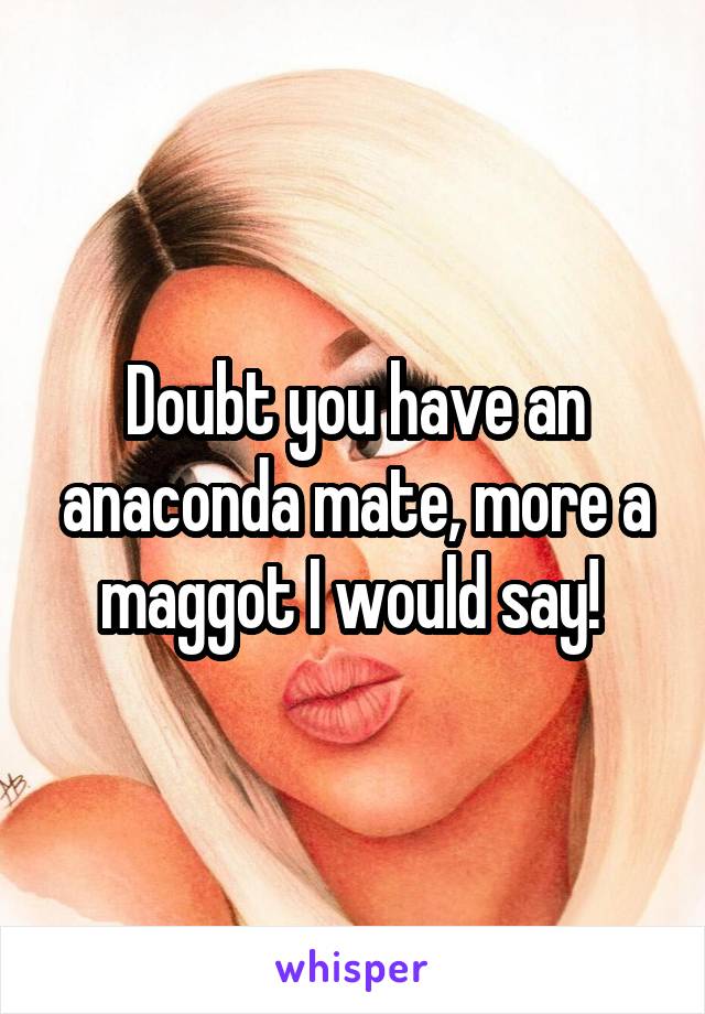 Doubt you have an anaconda mate, more a maggot I would say! 