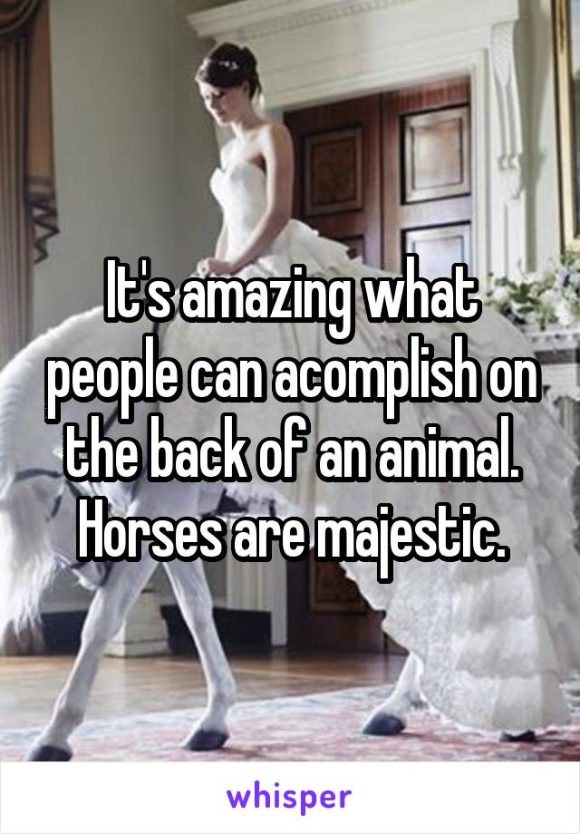 It's amazing what people can acomplish on the back of an animal. Horses are majestic.