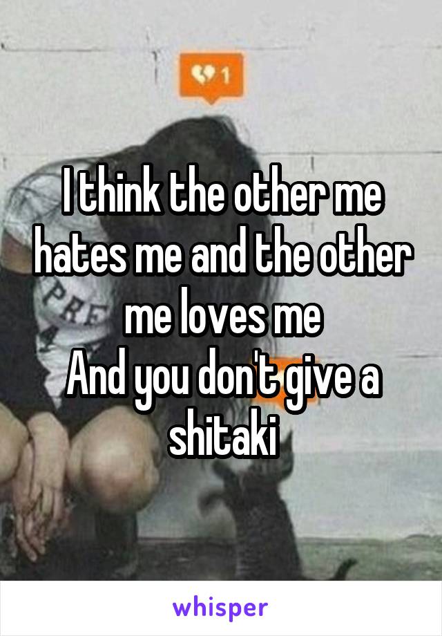 I think the other me hates me and the other me loves me
And you don't give a shitaki