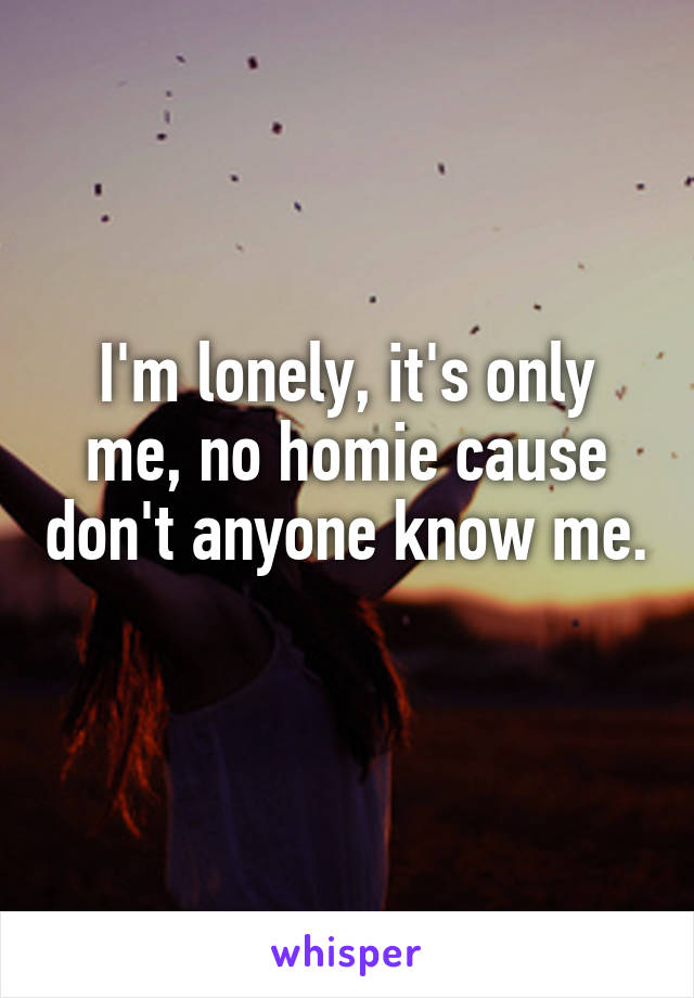 I'm lonely, it's only me, no homie cause don't anyone know me. 