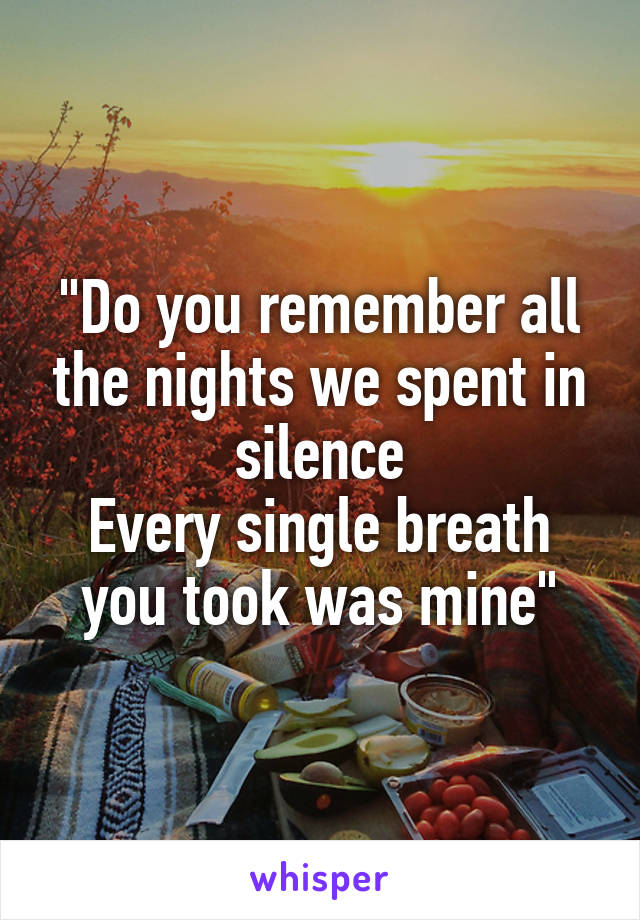 "Do you remember all the nights we spent in silence
Every single breath you took was mine"