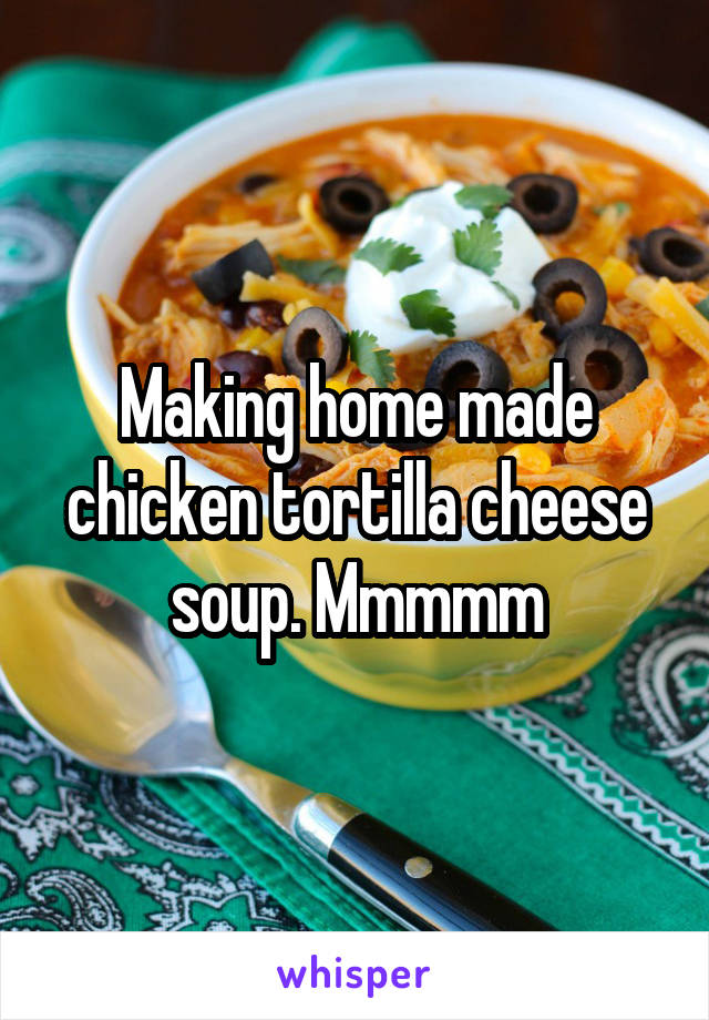 Making home made chicken tortilla cheese soup. Mmmmm