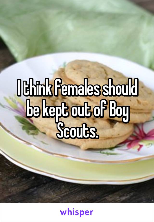 I think females should be kept out of Boy Scouts.