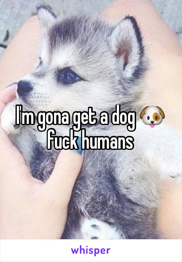 I'm gona get a dog 🐶 fuck humans  