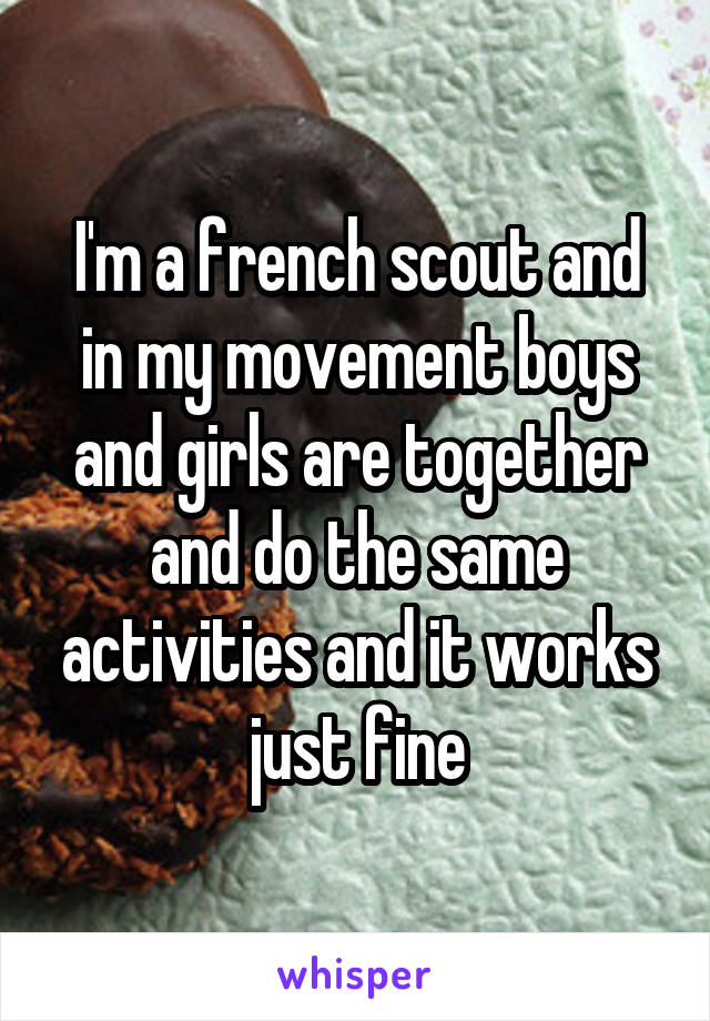 I'm a french scout and in my movement boys and girls are together and do the same activities and it works just fine