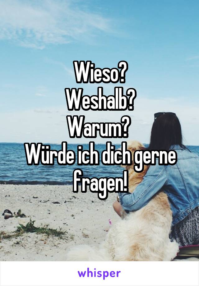 Wieso?
Weshalb?
Warum? 
Würde ich dich gerne fragen!
