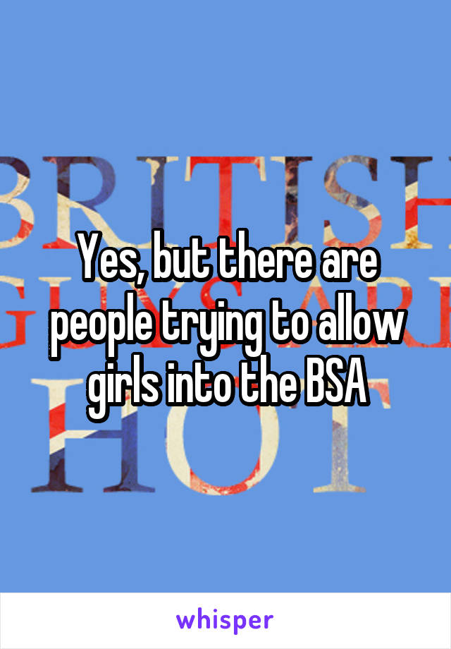 Yes, but there are people trying to allow girls into the BSA