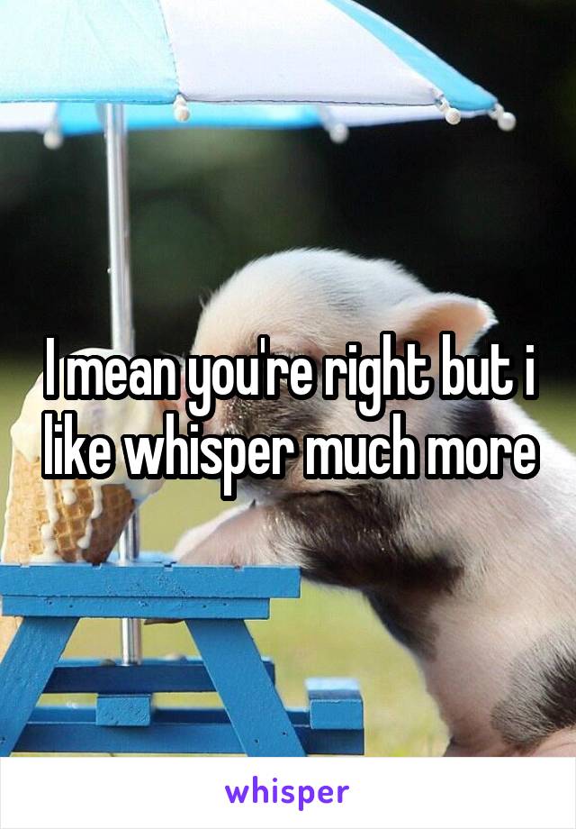 I mean you're right but i like whisper much more