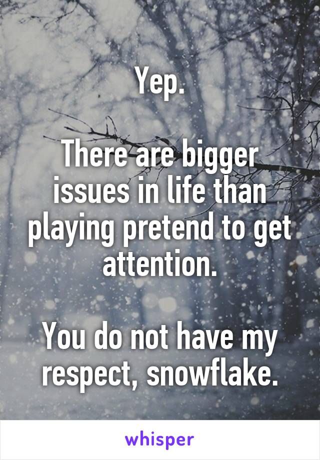 Yep.

There are bigger issues in life than playing pretend to get attention.

You do not have my respect, snowflake.