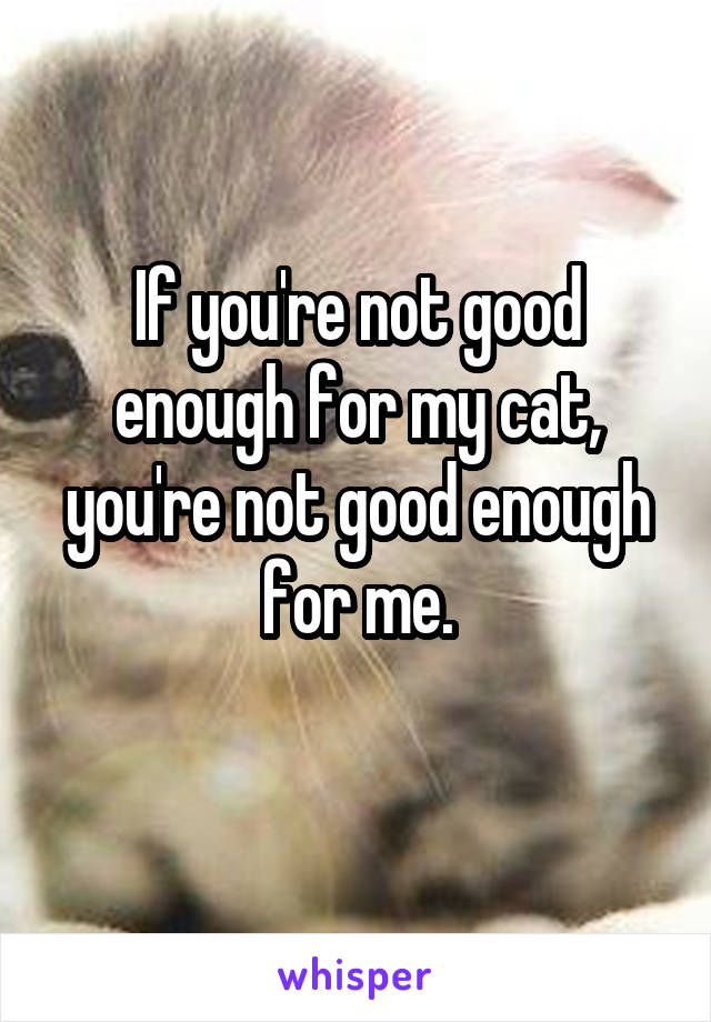 If you're not good enough for my cat, you're not good enough for me.
