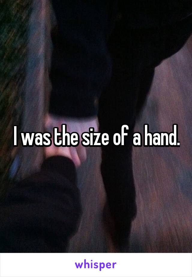 I was the size of a hand.