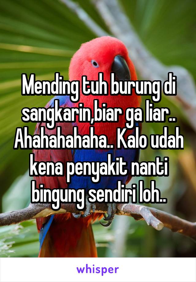 Mending tuh burung di sangkarin,biar ga liar.. Ahahahahaha.. Kalo udah kena penyakit nanti bingung sendiri loh..