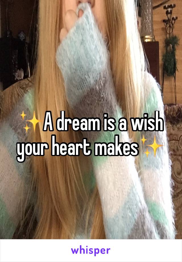 ✨A dream is a wish your heart makes✨