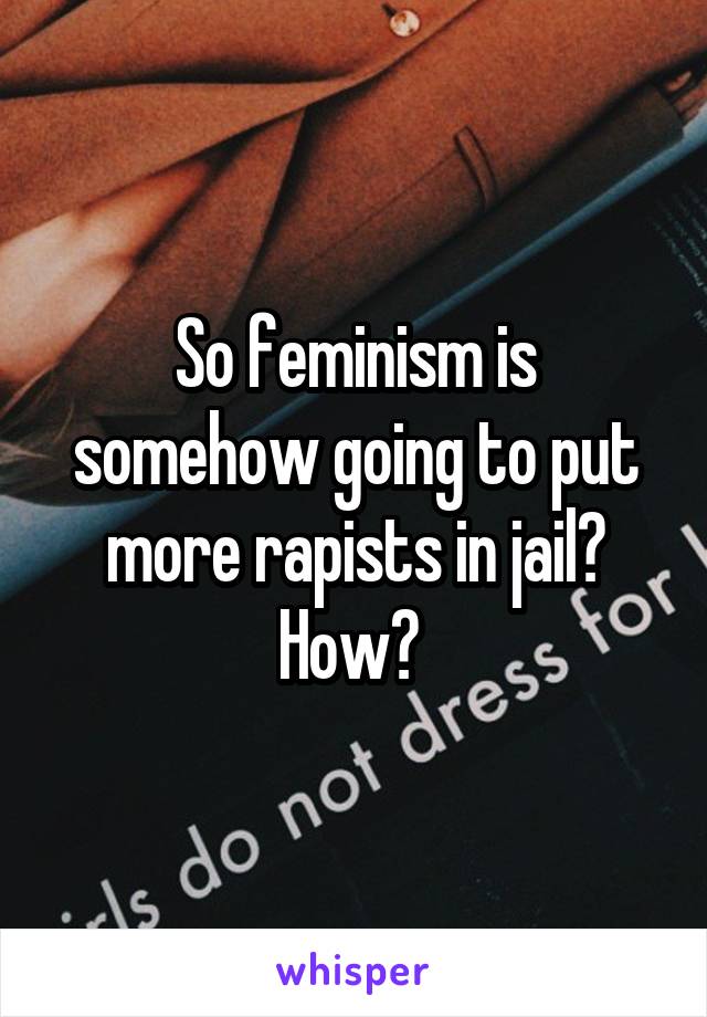 So feminism is somehow going to put more rapists in jail? How? 