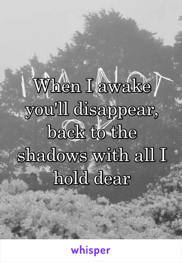 When I awake you'll disappear, back to the shadows with all I hold dear