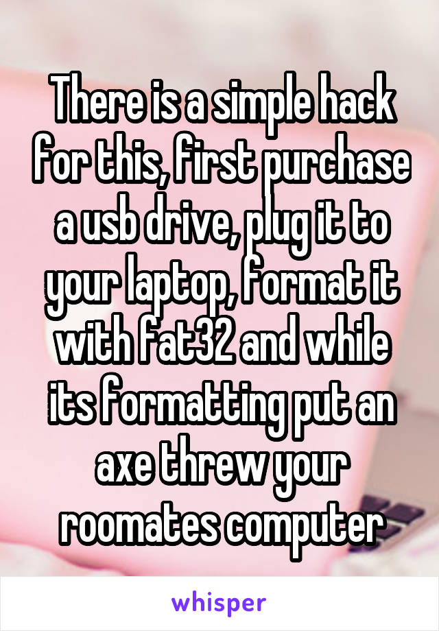 There is a simple hack for this, first purchase a usb drive, plug it to your laptop, format it with fat32 and while its formatting put an axe threw your roomates computer