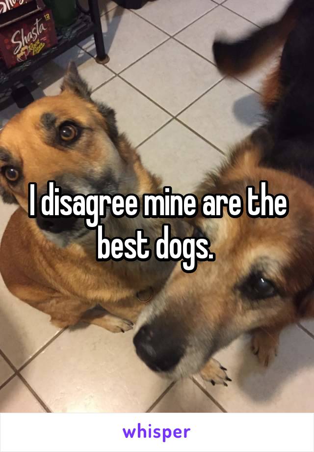 I disagree mine are the best dogs. 