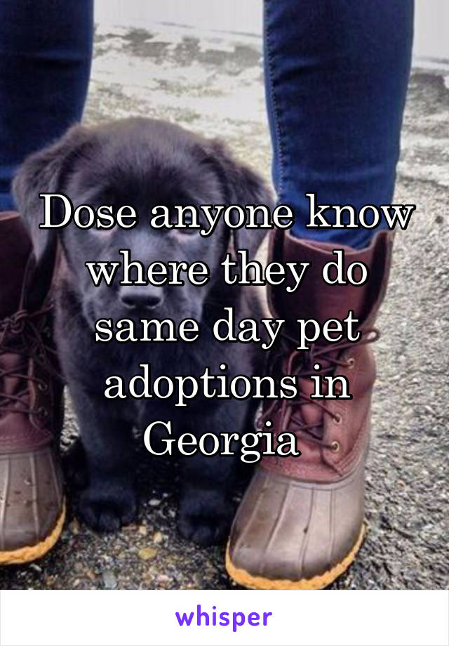 Dose anyone know where they do same day pet adoptions in Georgia 