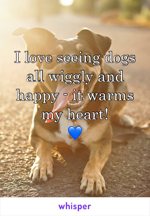 I love seeing dogs all wiggly and happy - it warms my heart!
💙