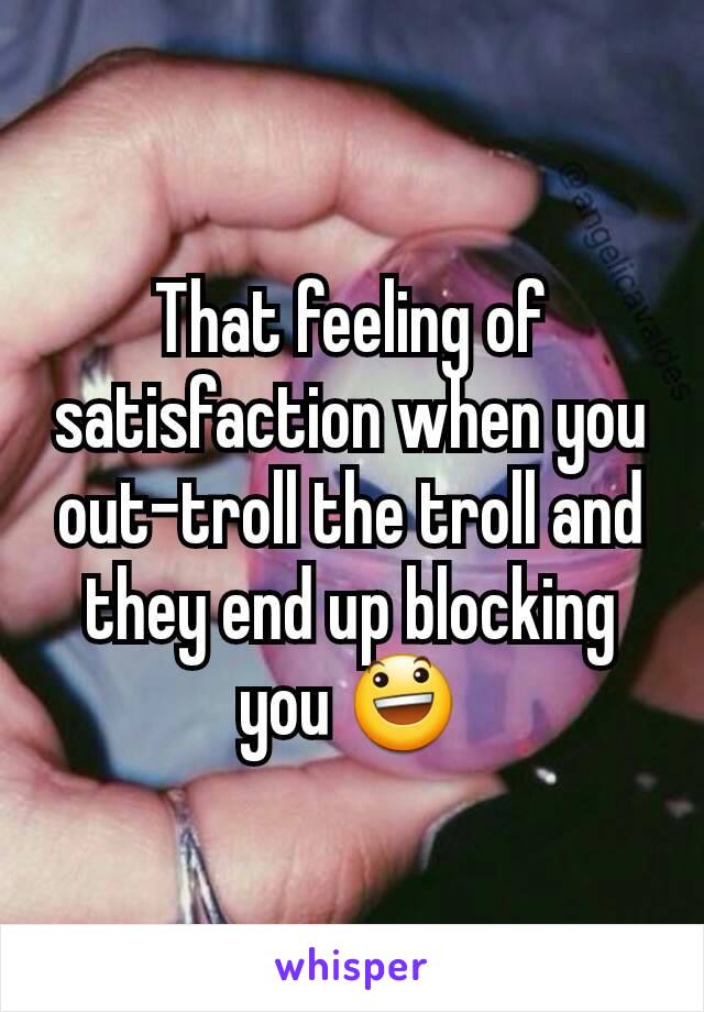 That feeling of satisfaction when you out-troll the troll and they end up blocking you 😃