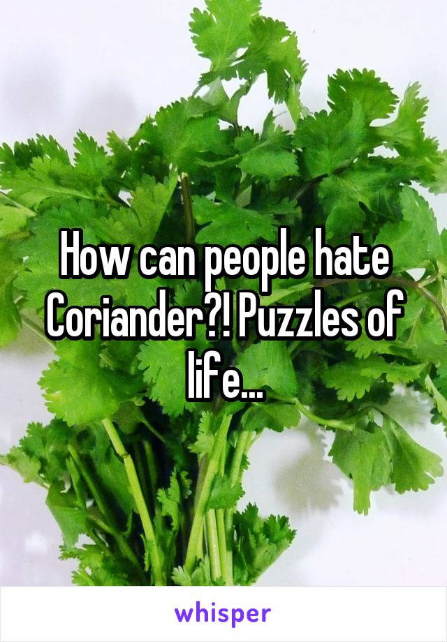 How can people hate Coriander?! Puzzles of life...