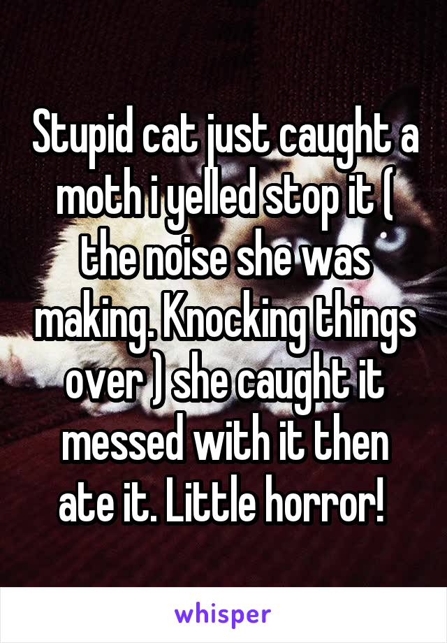 Stupid cat just caught a moth i yelled stop it ( the noise she was making. Knocking things over ) she caught it messed with it then ate it. Little horror! 