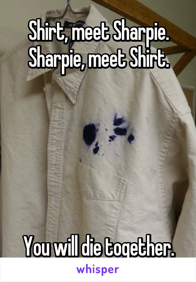 Shirt, meet Sharpie.
Sharpie, meet Shirt.






You will die together.