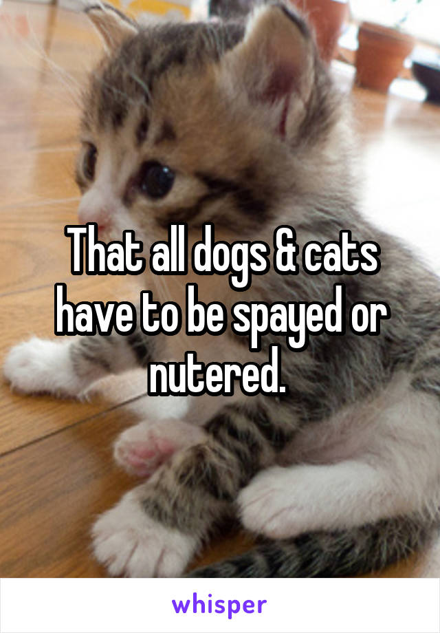 That all dogs & cats have to be spayed or nutered. 