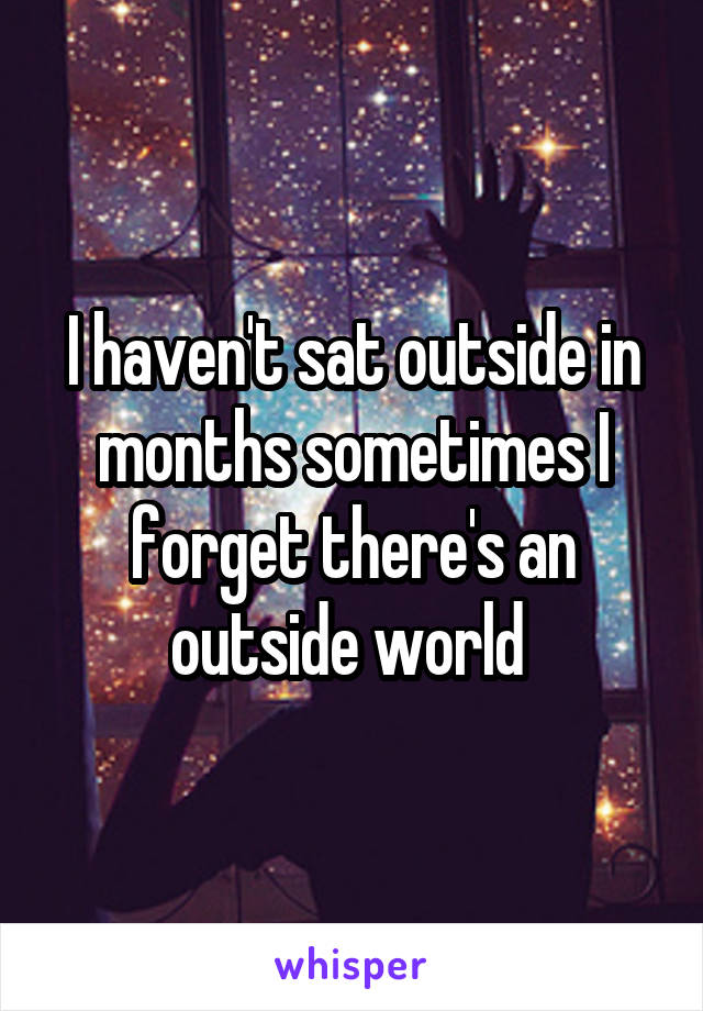 I haven't sat outside in months sometimes I forget there's an outside world 