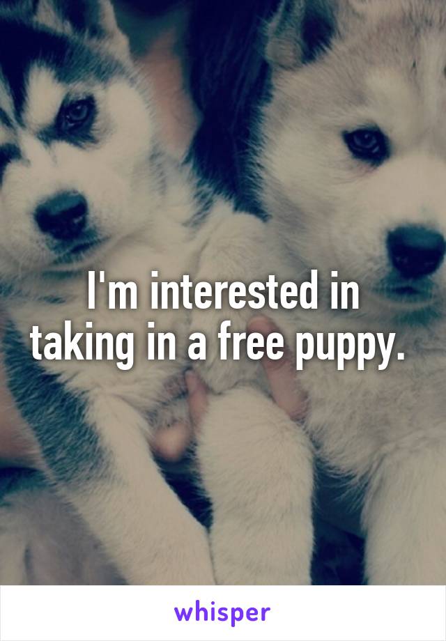 I'm interested in taking in a free puppy. 