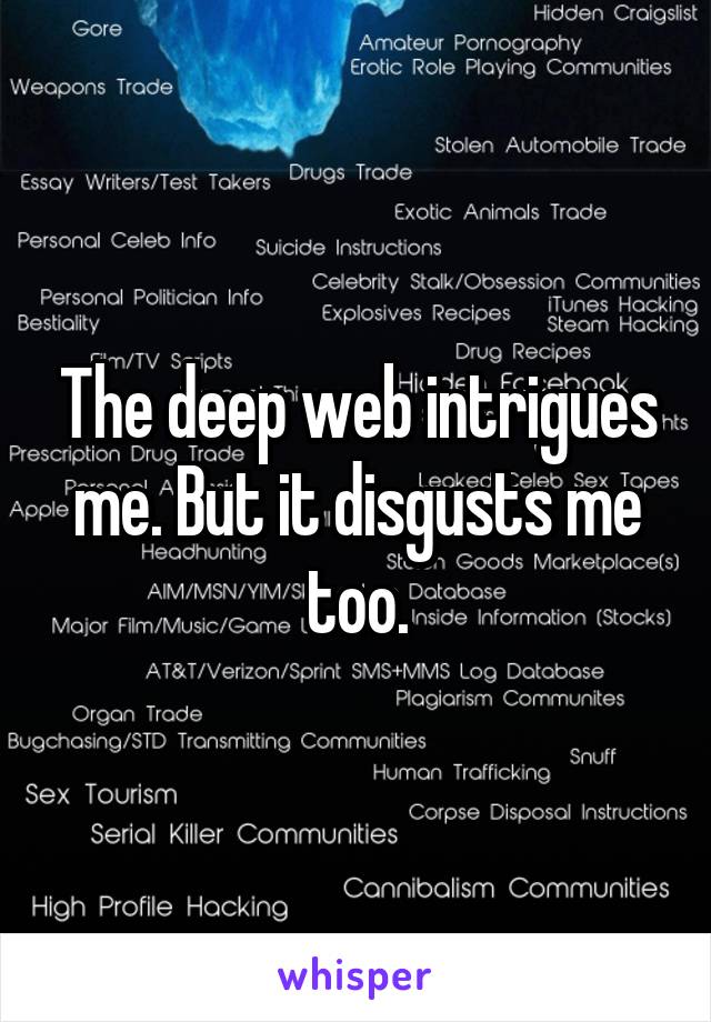 The deep web intrigues me. But it disgusts me too.