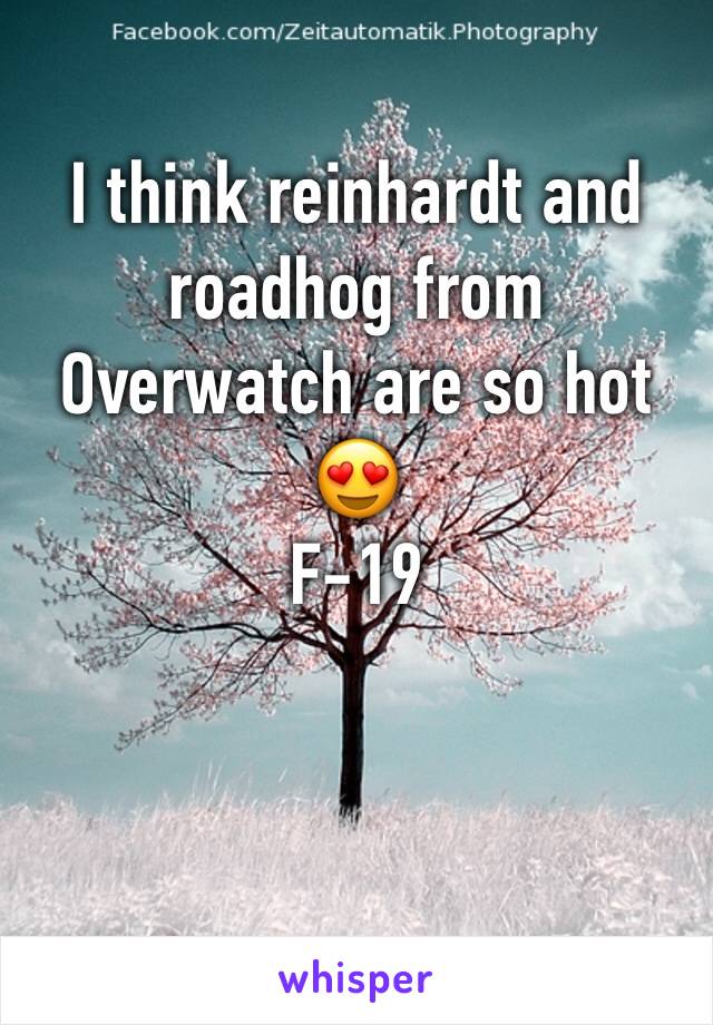 I think reinhardt and roadhog from Overwatch are so hot 😍 
F-19 