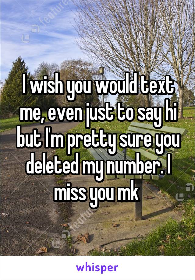 I wish you would text me, even just to say hi but I'm pretty sure you deleted my number. I miss you mk 