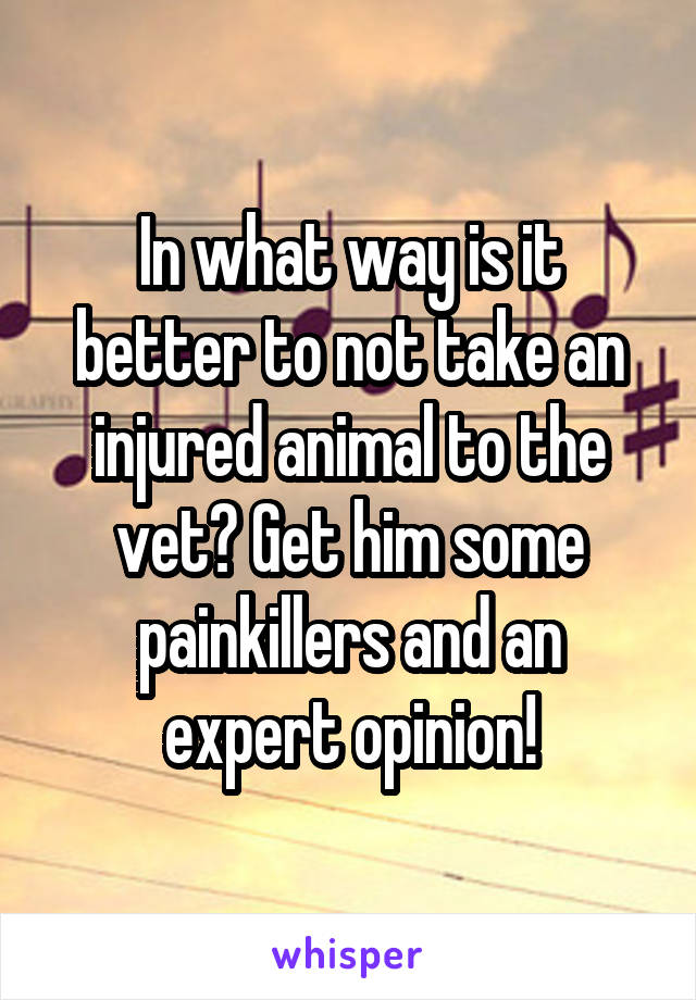 In what way is it better to not take an injured animal to the vet? Get him some painkillers and an expert opinion!