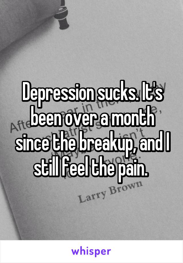 Depression sucks. It's been over a month since the breakup, and I still feel the pain. 